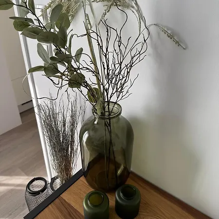 Lili's Mit Schlossblick Apartament