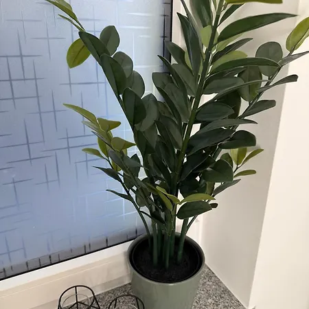 Apartament Lili's Mit Schlossblick