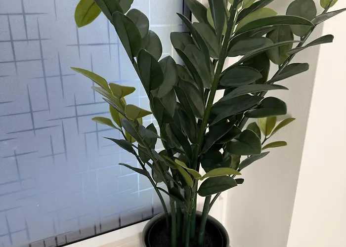 Apartment Lilis Ferienwohnung Mit Schlossblick 1